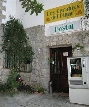 Pensjonat Boutique Geranios Del Pinar *