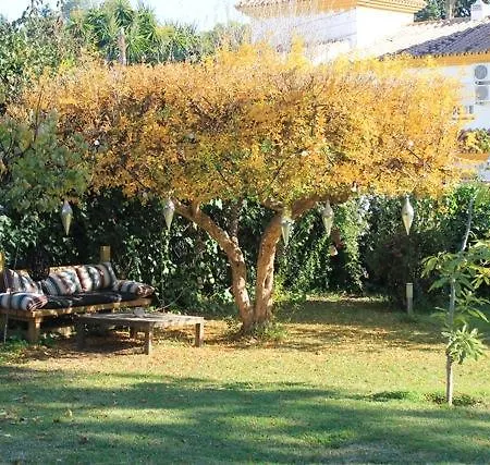 Guest house Boutique Geranios Del Pinar